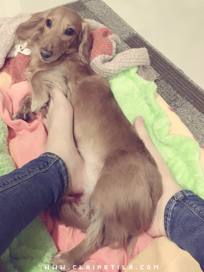 20251024-zbhsk 20251024-zbhsk