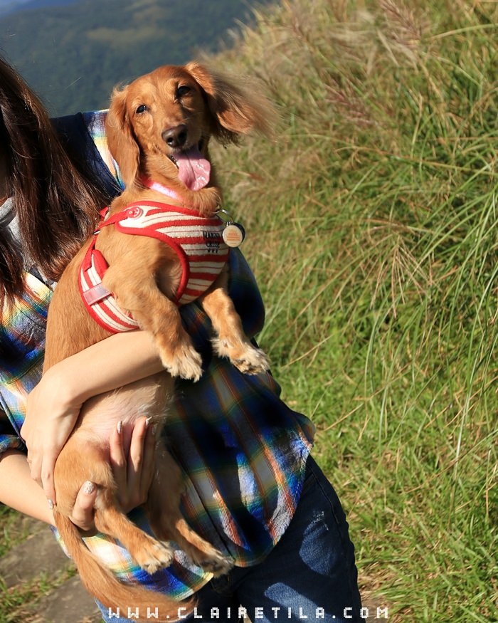 20251024-3bqqd 20251024-3bqqd