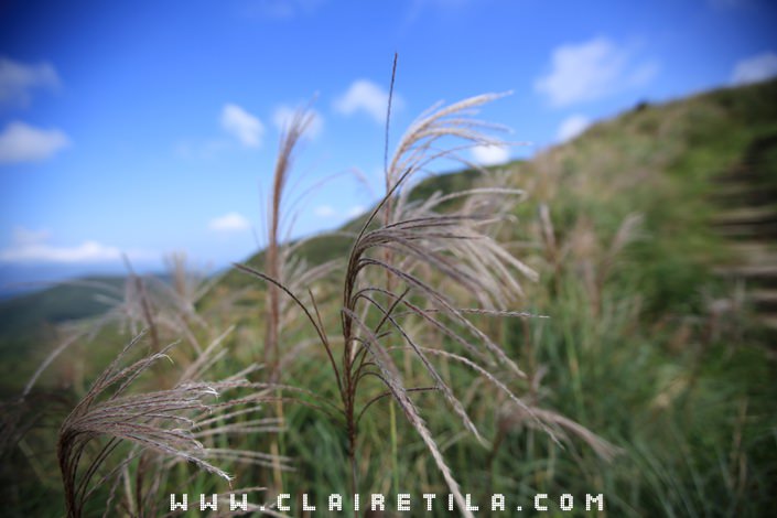 20251024-73p8l 20251024-73p8l