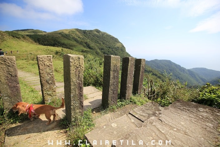 20251024-77ly9 20251024-77ly9