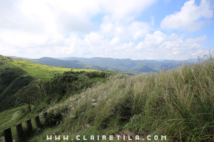 20251024-bnod2 20251024-bnod2