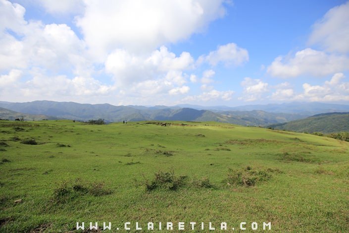 20251024-dpqcg 20251024-dpqcg