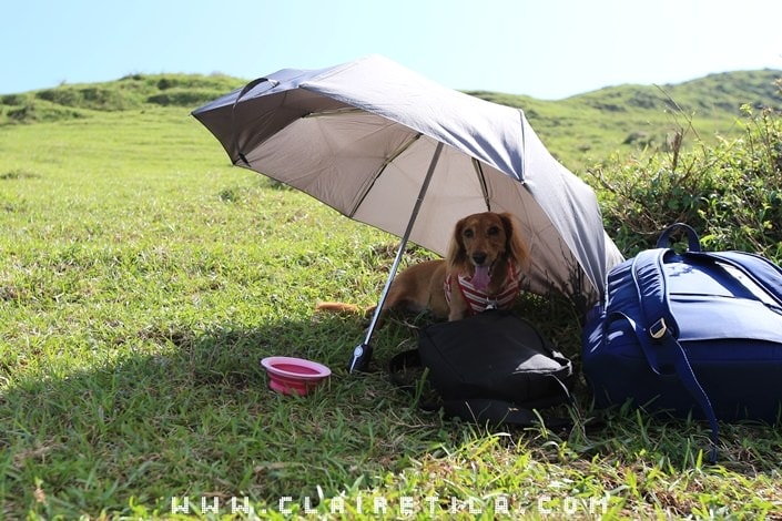 20251024-fhki9 20251024-fhki9