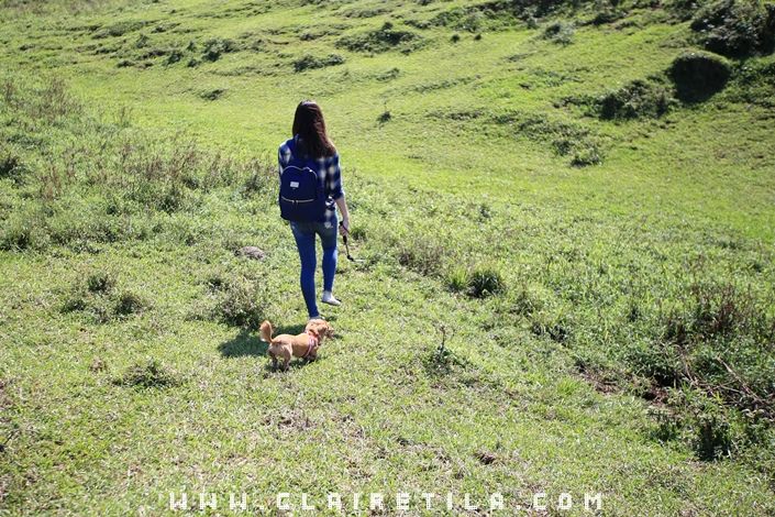 20251024-fkwtn 20251024-fkwtn