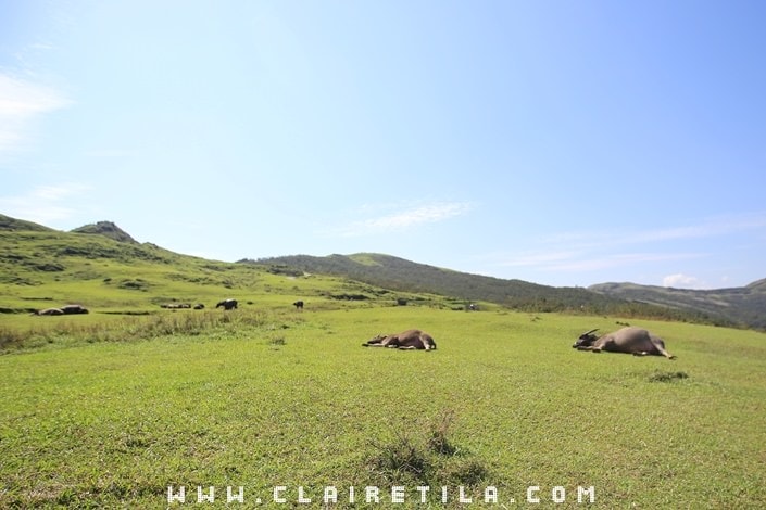 20251024-fsaj3 20251024-fsaj3