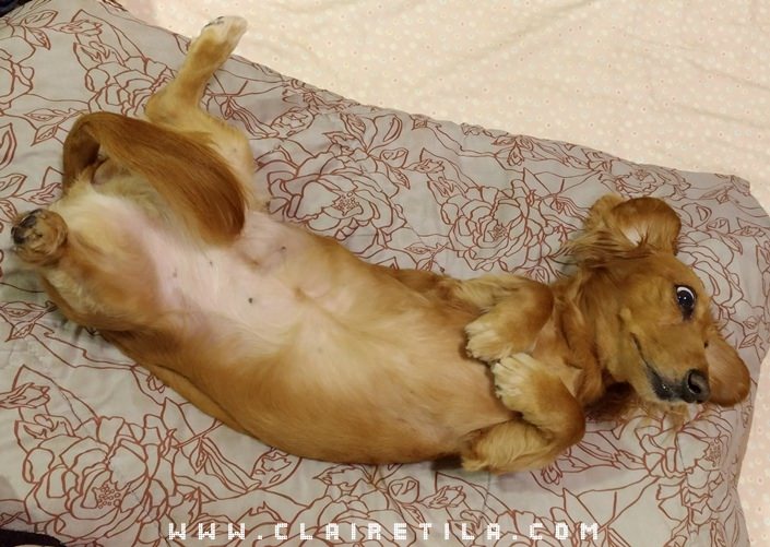 20251024-h1kg8 20251024-h1kg8