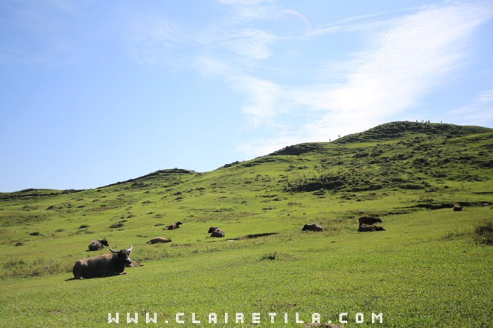 20251024-hdnzk 20251024-hdnzk