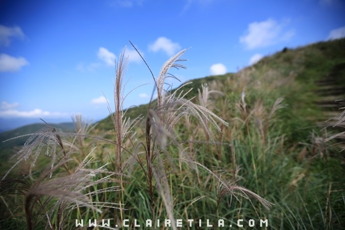 20251024-j66s5 20251024-j66s5