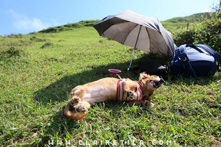 20251024-j6nlg 20251024-j6nlg