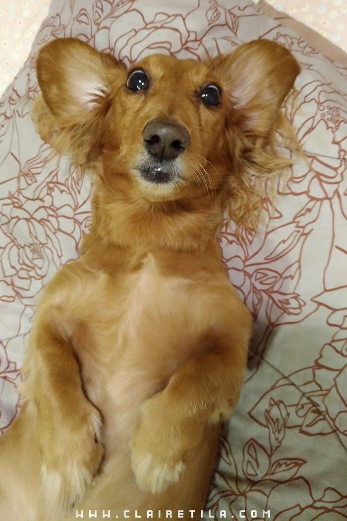 20251024-kr7ki 20251024-kr7ki