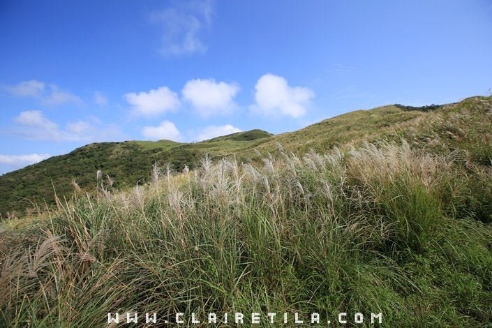 20251024-qb2z6 20251024-qb2z6