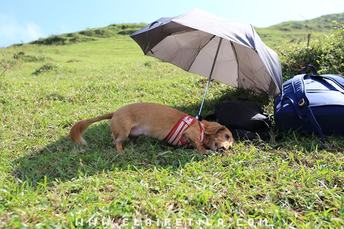 20251024-qc69f 20251024-qc69f