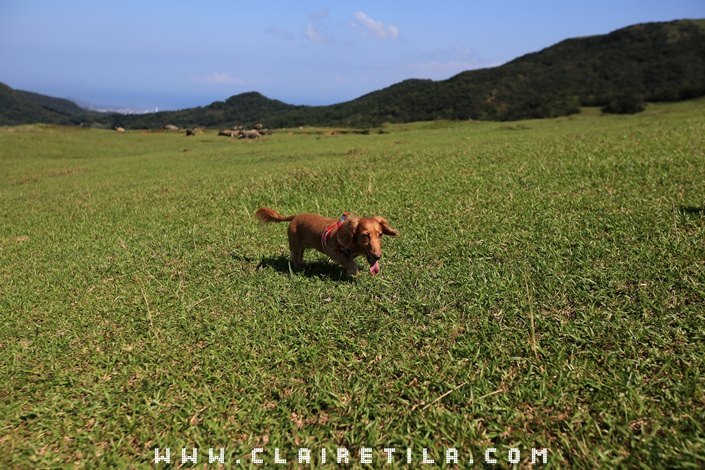 20251024-sgksd 20251024-sgksd