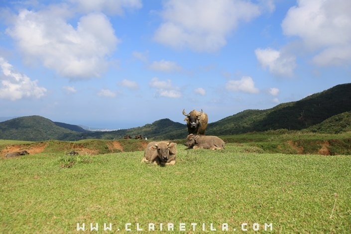 20251024-t1y2g 20251024-t1y2g