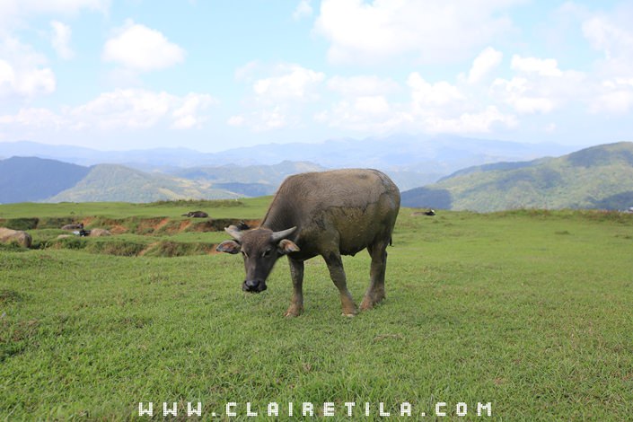 20251024-tbmn0 20251024-tbmn0