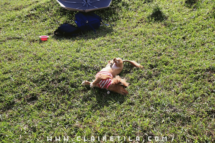 20251024-v83f1 20251024-v83f1