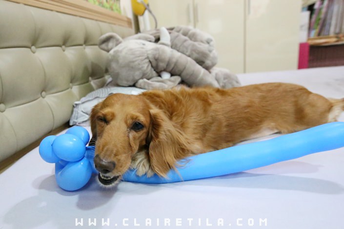 20251024-0d71z 20251024-0d71z