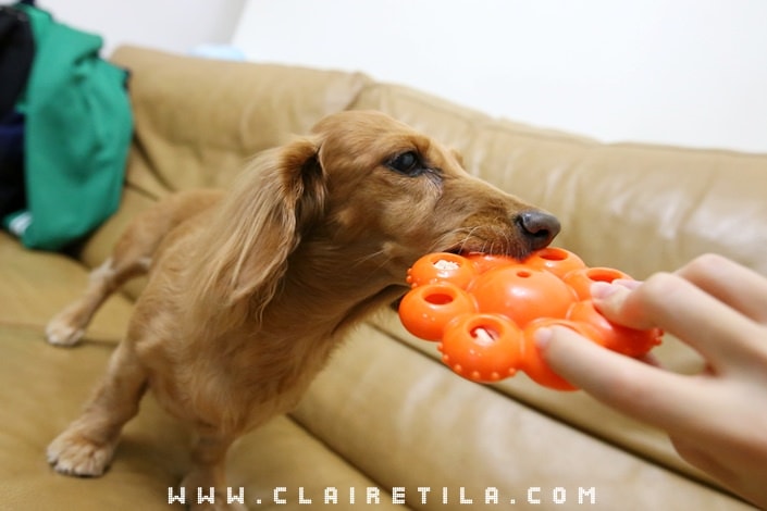 20251024-0nrzs 20251024-0nrzs