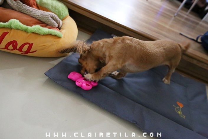 20251024-24ttg 20251024-24ttg