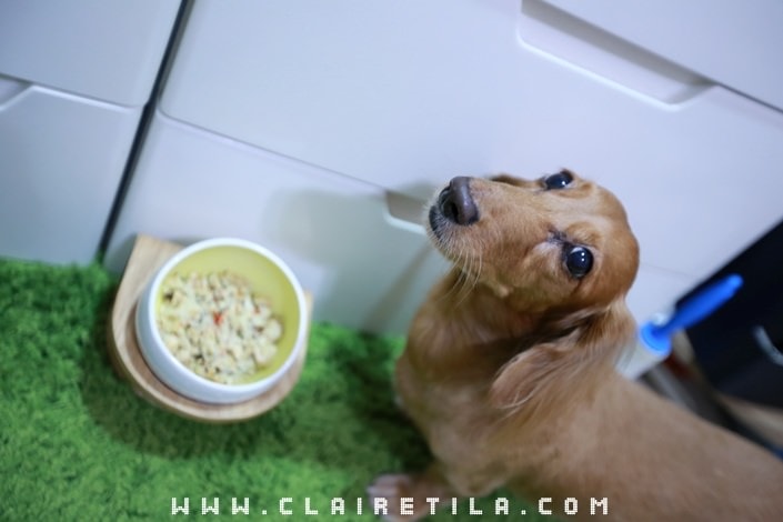 20251024-33y3a 20251024-33y3a