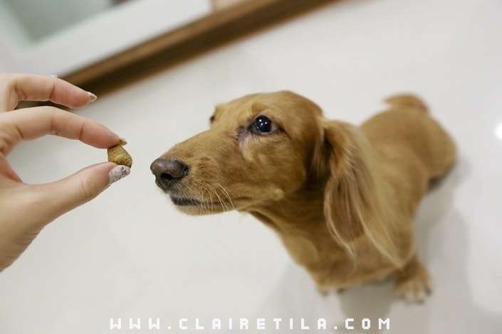 20251024-3v9r5 20251024-3v9r5