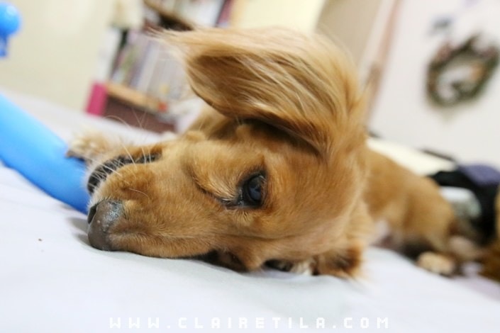 20251024-52byl 20251024-52byl