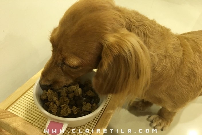 20251024-5n7n0 20251024-5n7n0