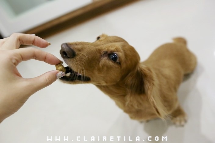 20251024-8mhdy 20251024-8mhdy