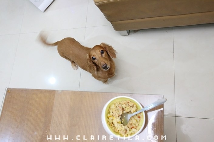 20251024-8wg56 20251024-8wg56