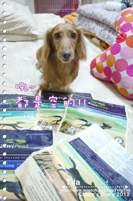 20251024-93uut 20251024-93uut