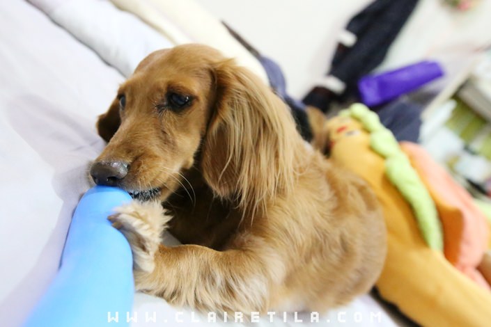 20251024-9bl61 20251024-9bl61