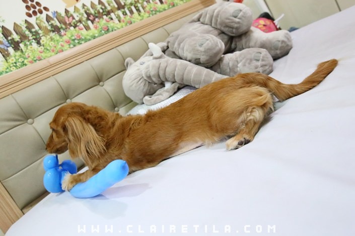 20251024-9lqmo 20251024-9lqmo