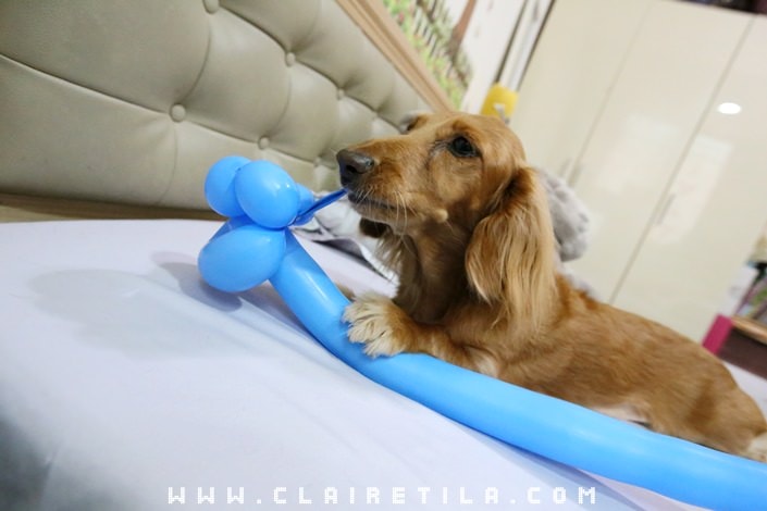 20251024-9rmov 20251024-9rmov