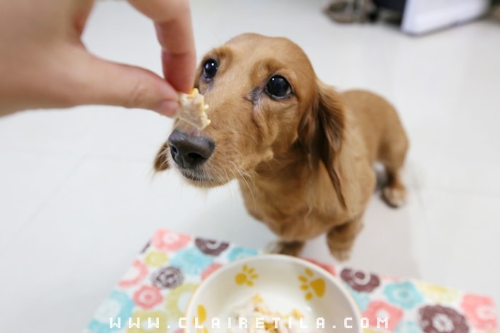 20251024-d0j9r 20251024-d0j9r