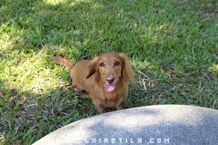 20251024-f82cm 20251024-f82cm