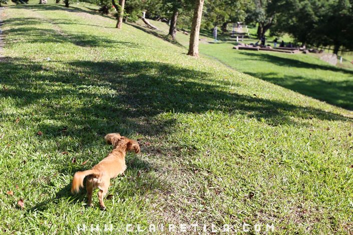 20251024-gcaby 20251024-gcaby