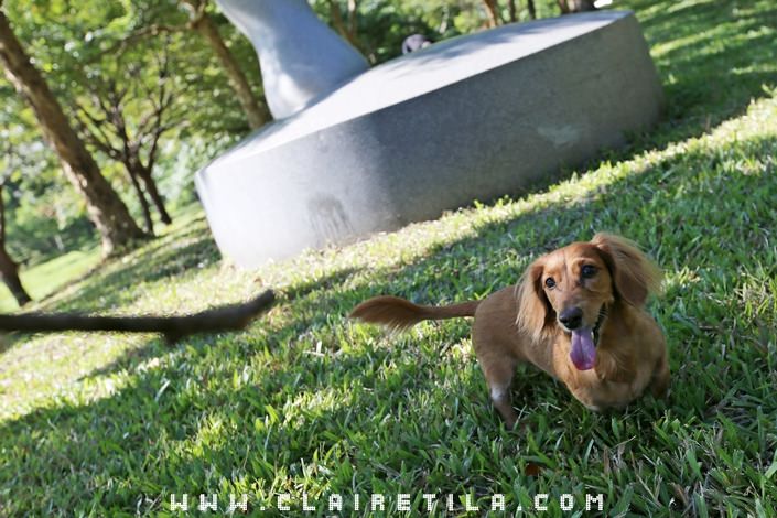 20251024-gpopm 20251024-gpopm