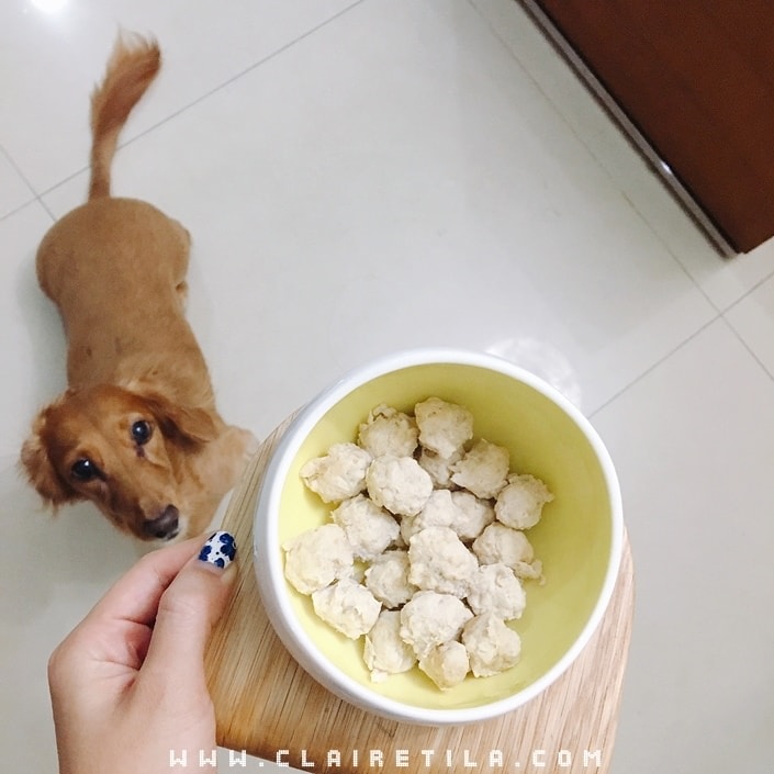 20251024-h4eg7 20251024-h4eg7