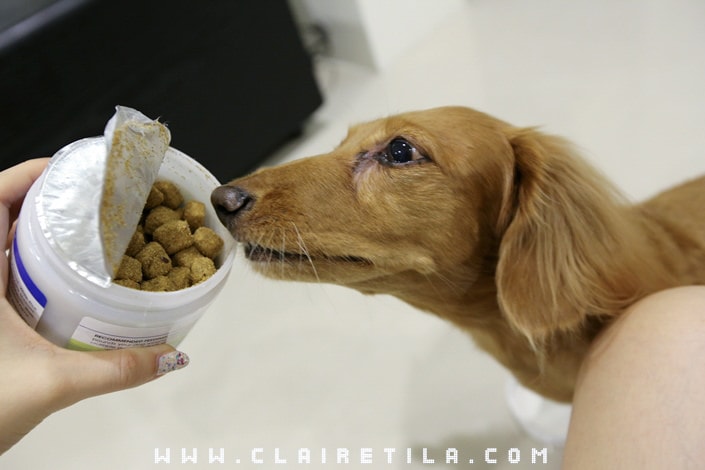 20251024-hc5r5 20251024-hc5r5