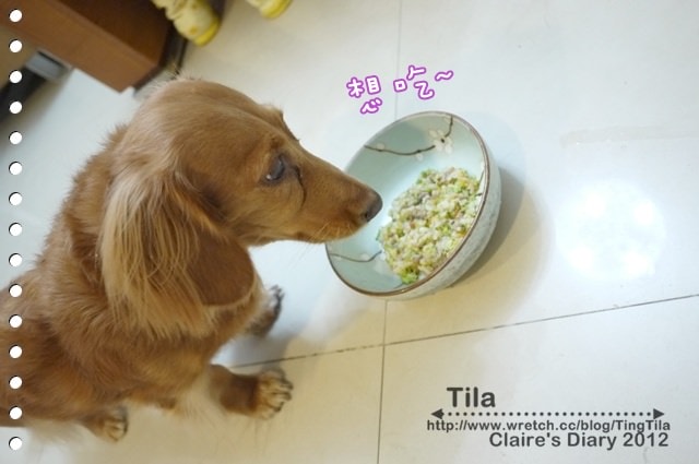 20251024-hyof3 20251024-hyof3