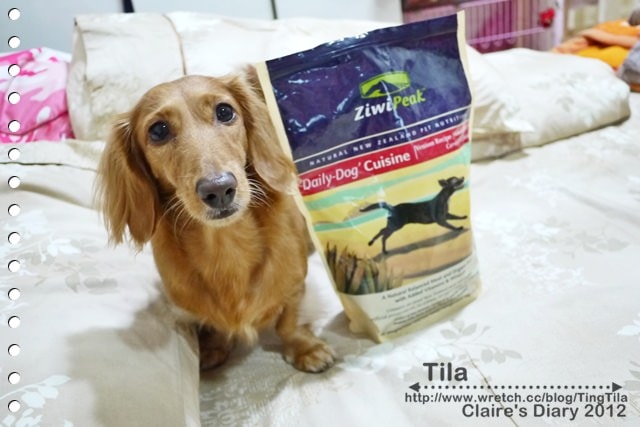 20251024-jq70o 20251024-jq70o