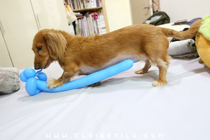 20251024-ka0t7 20251024-ka0t7