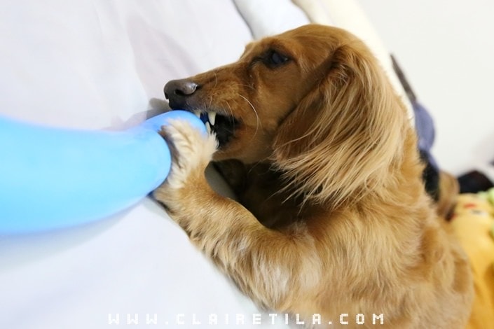 20251024-l7ble 20251024-l7ble