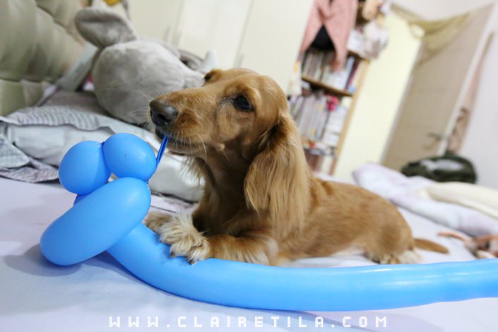 20251024-m32as 20251024-m32as