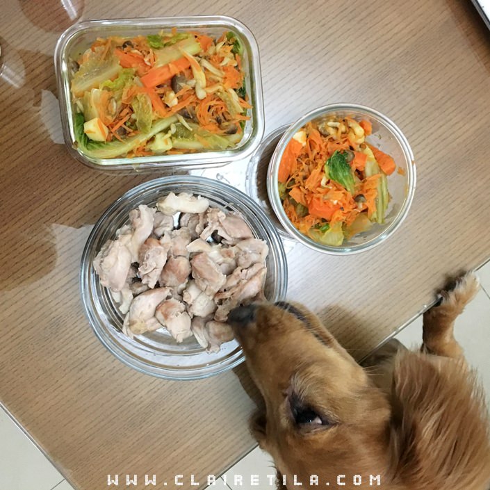 20251024-m41il 20251024-m41il