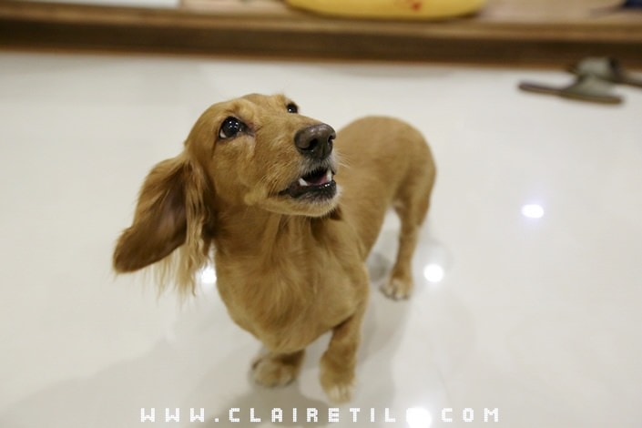 20251024-ml6vo 20251024-ml6vo