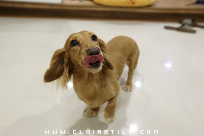 20251024-mtgbc 20251024-mtgbc