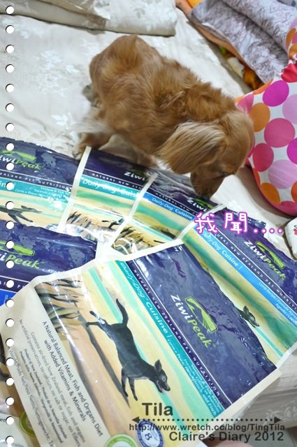 20251024-p7298 20251024-p7298