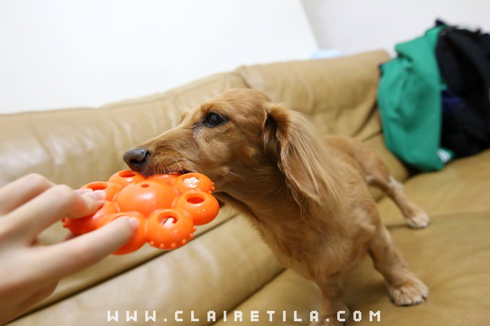 20251024-prmys 20251024-prmys