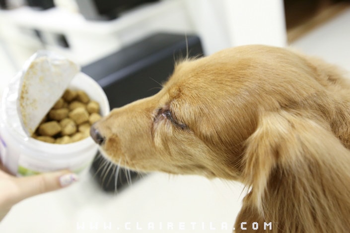 20251024-ssztt 20251024-ssztt